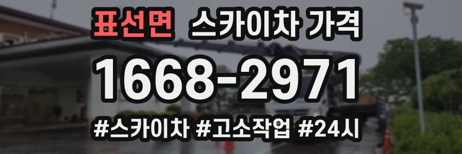 표선면 스카이차 가격