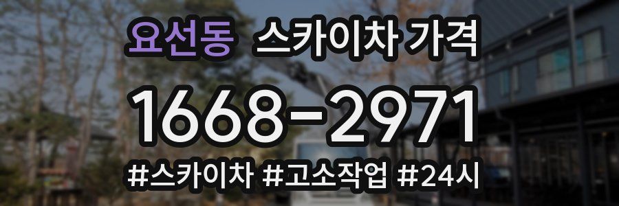 요선동 스카이차 가격