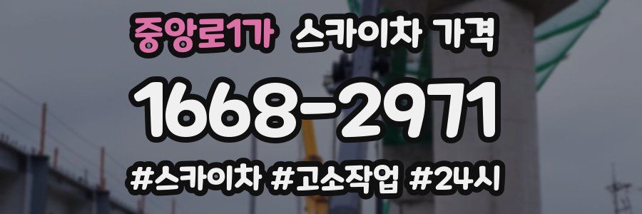 중앙로1가 스카이차 가격