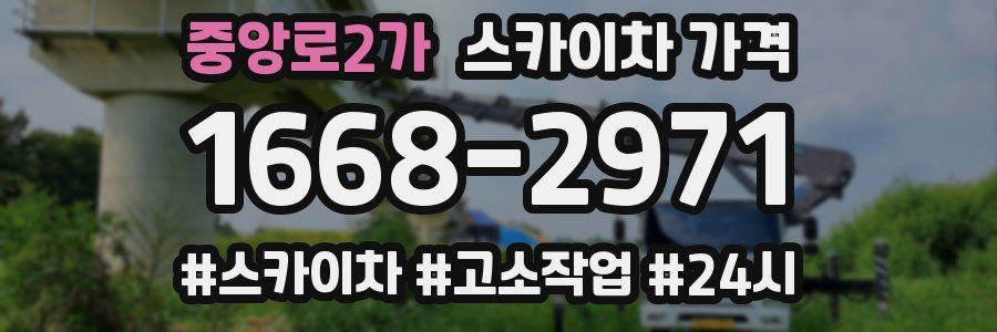 중앙로2가 스카이차 가격