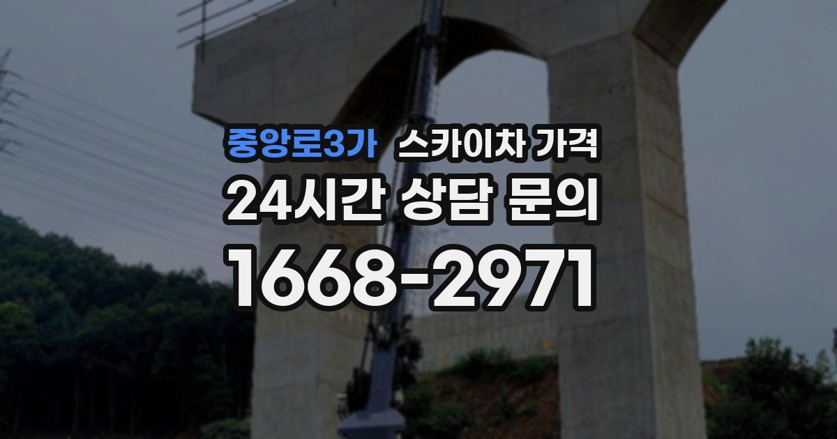 중앙로3가 스카이차 가격