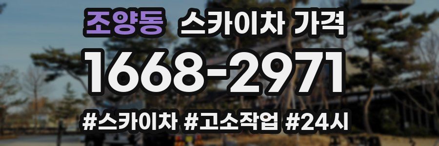 조양동 스카이차 가격