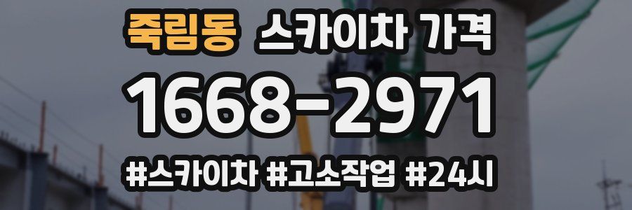 죽림동 스카이차 가격