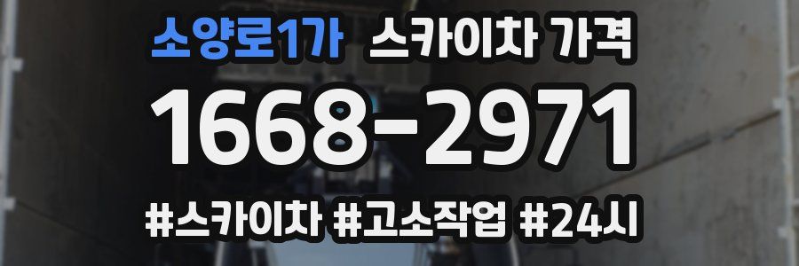 소양로1가 스카이차 가격