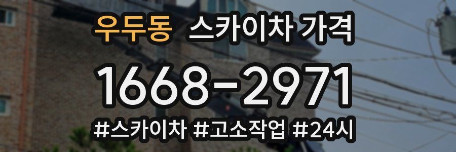 우두동 스카이차 가격