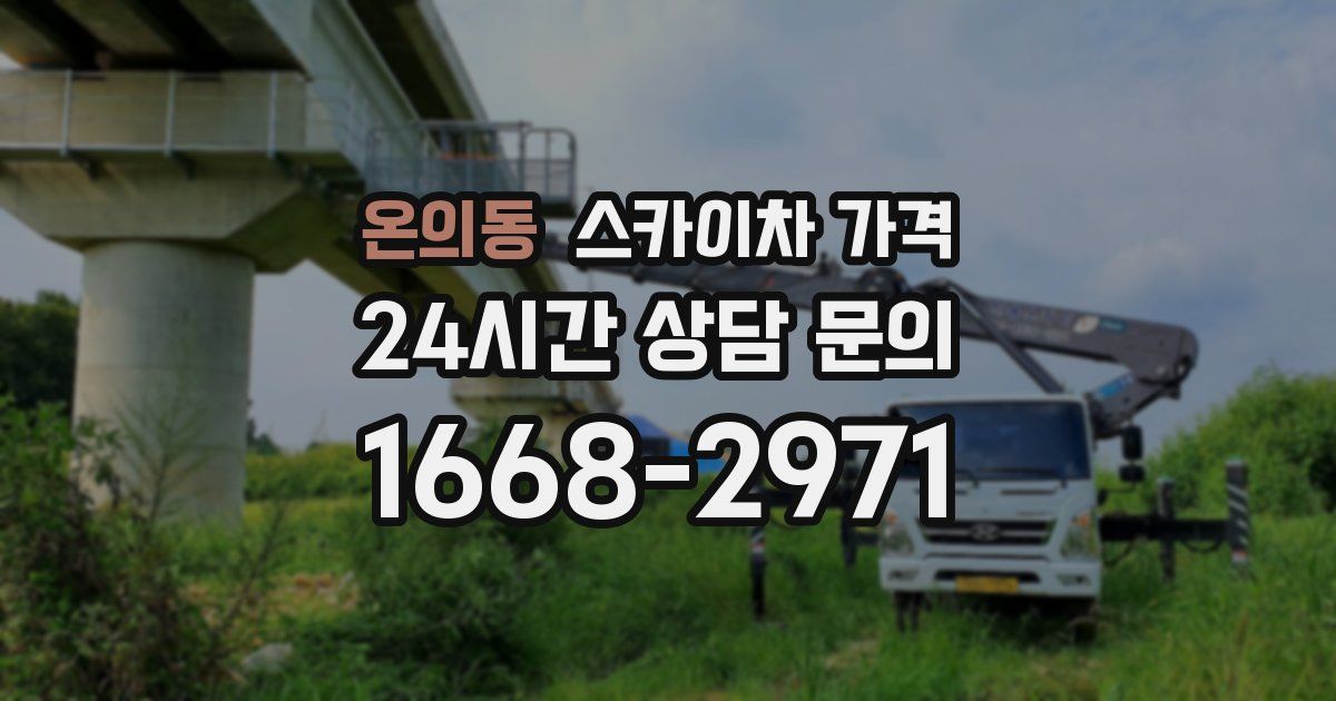 온의동 스카이차 가격