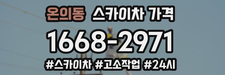 온의동 스카이차 가격