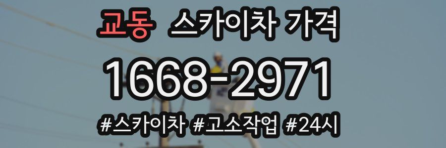 교동 스카이차 가격