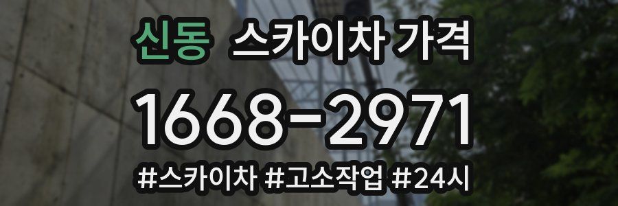 신동 스카이차 가격