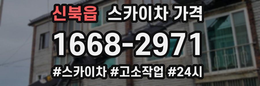 신북읍 스카이차 가격
