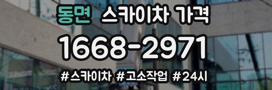 동면 스카이차 가격