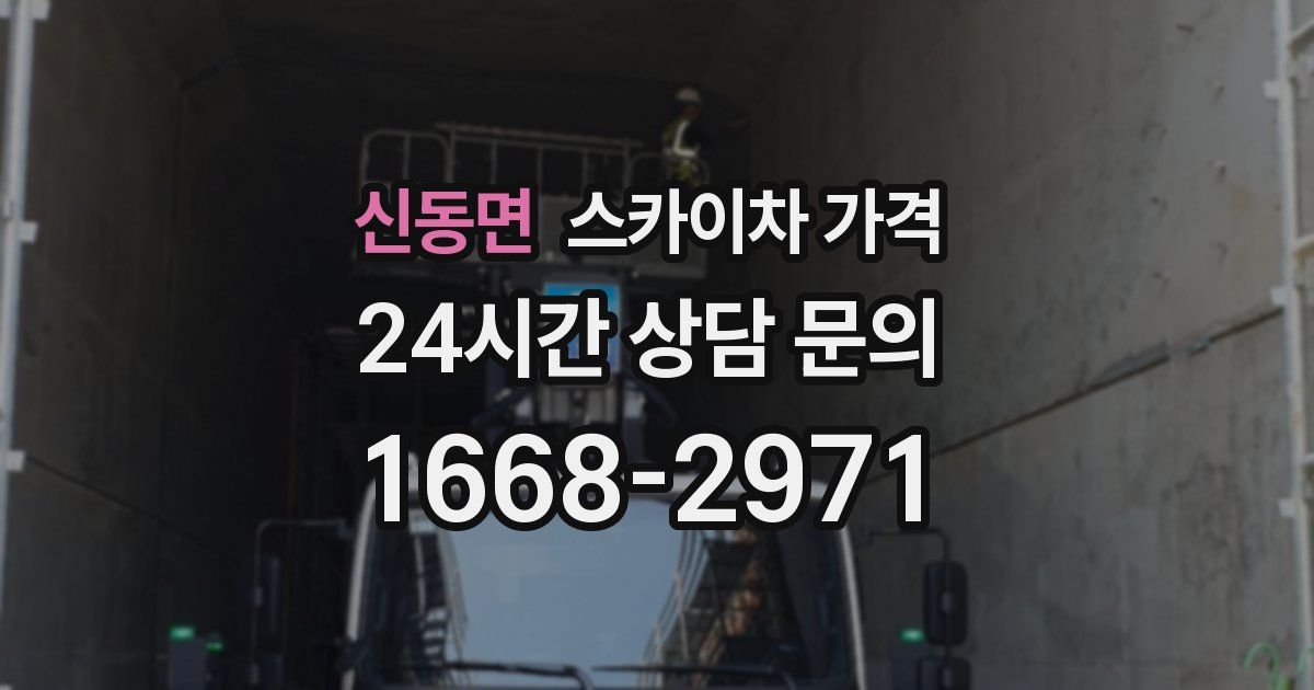 신동면 스카이차 가격