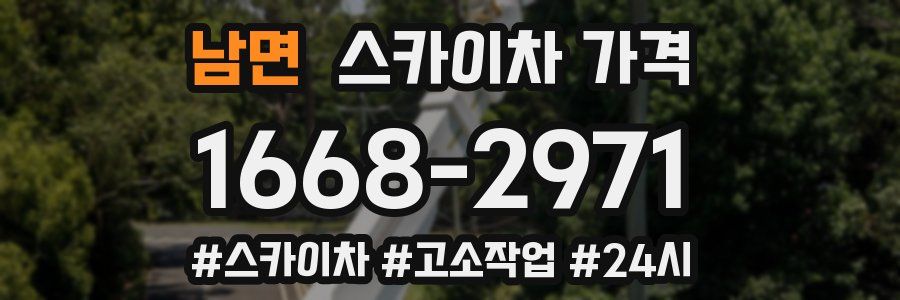 남면 스카이차 가격