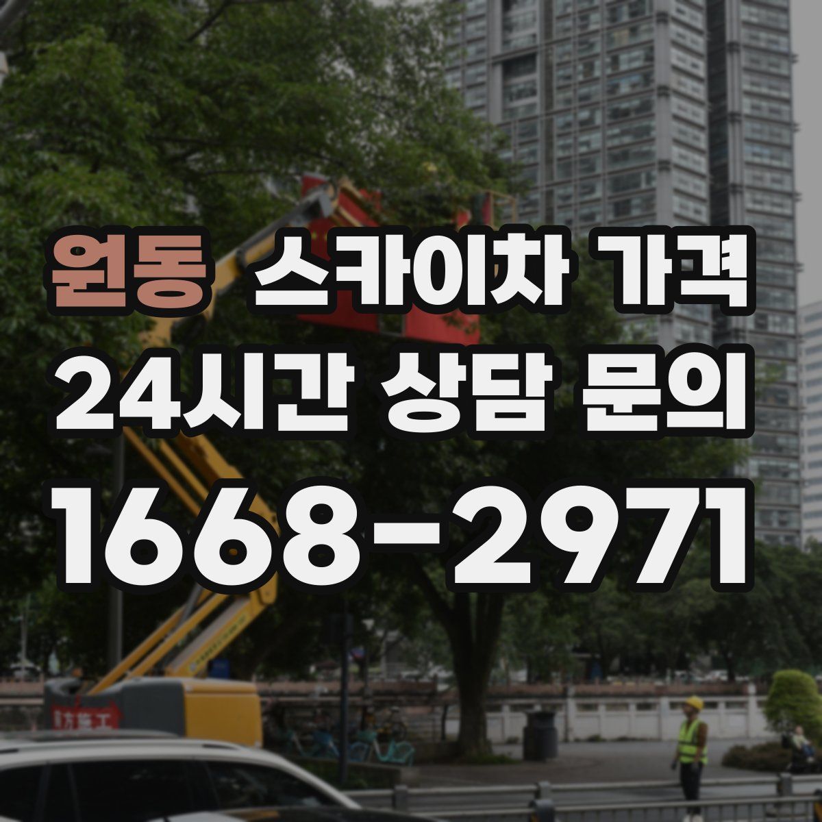 원동 스카이차 가격