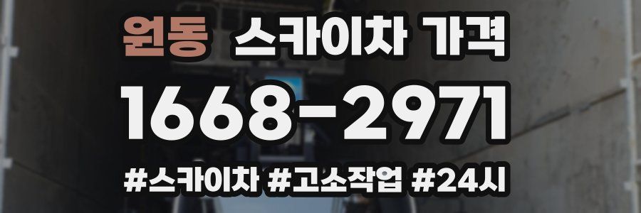 원동 스카이차 가격