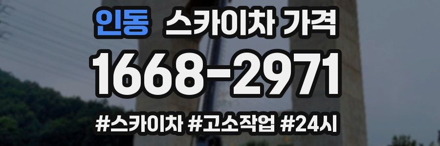 인동 스카이차 가격