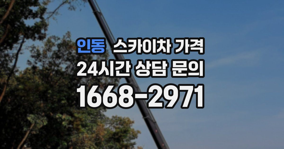 인동 스카이차 가격