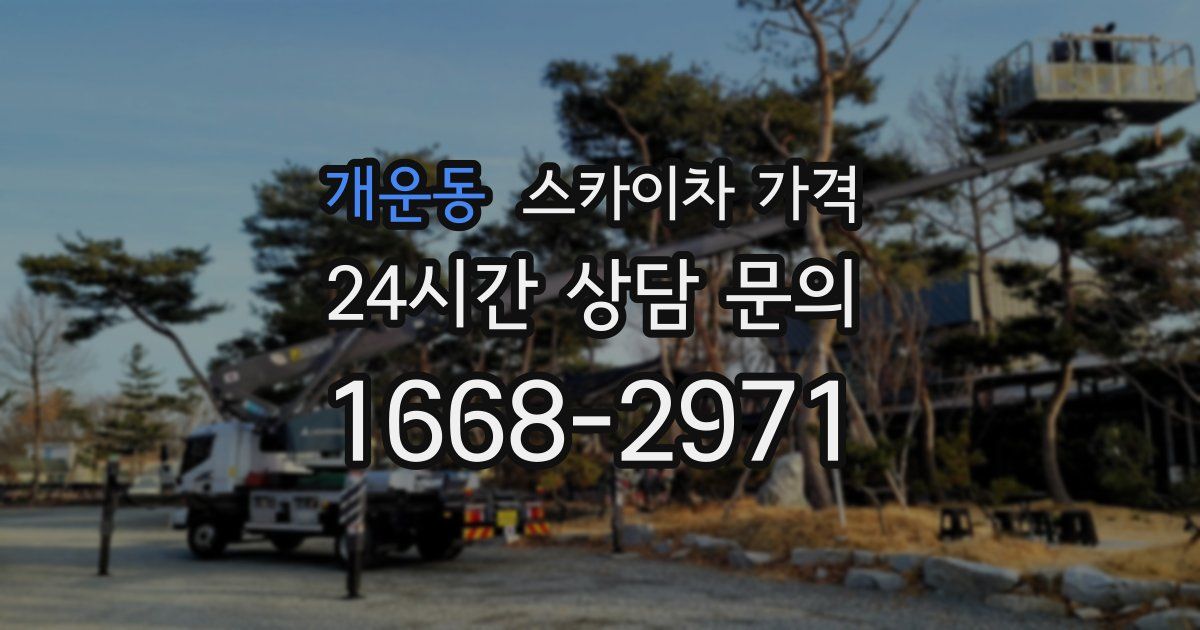 개운동 스카이차 가격