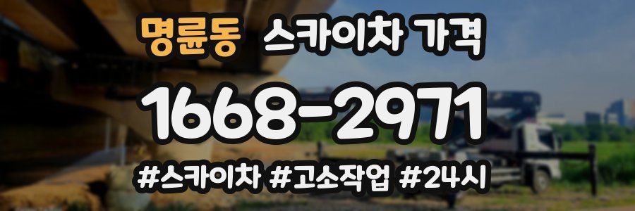 명륜동 스카이차 가격