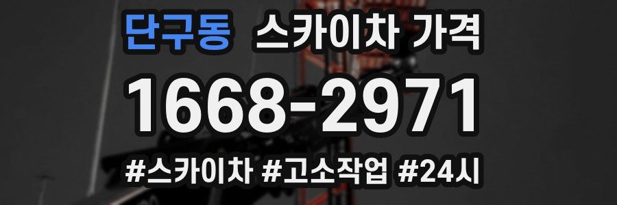 단구동 스카이차 가격