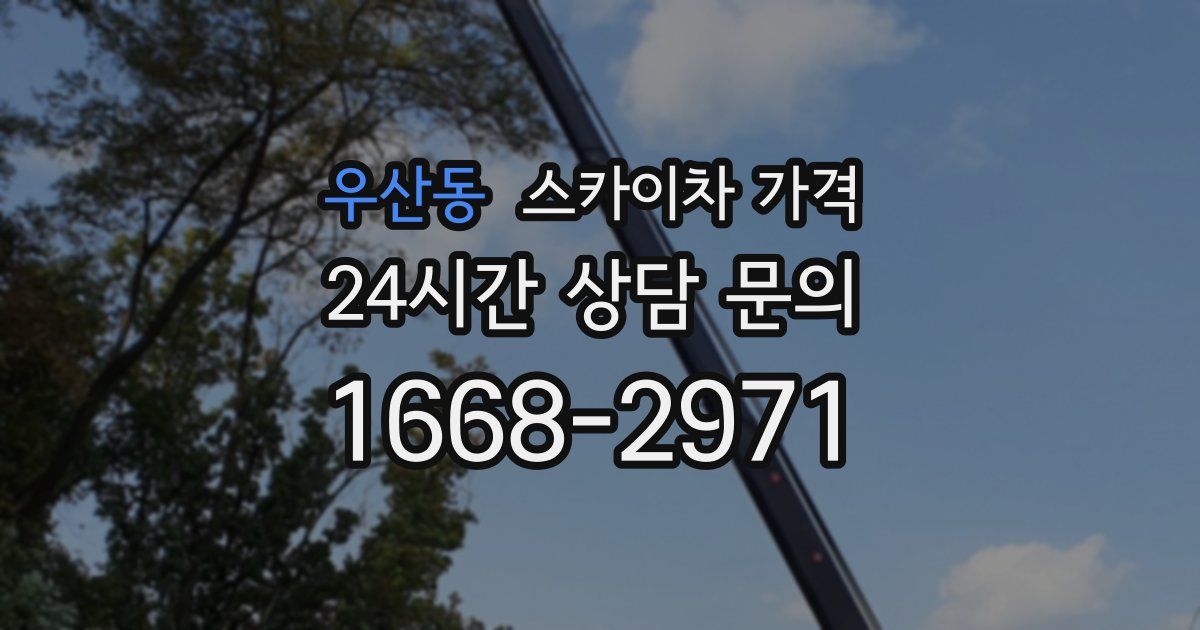 우산동 스카이차 가격