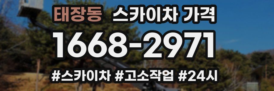 태장동 스카이차 가격