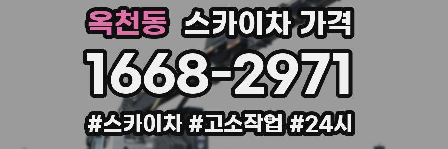 옥천동 스카이차 가격