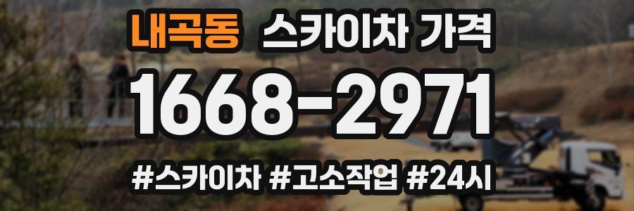 내곡동 스카이차 가격