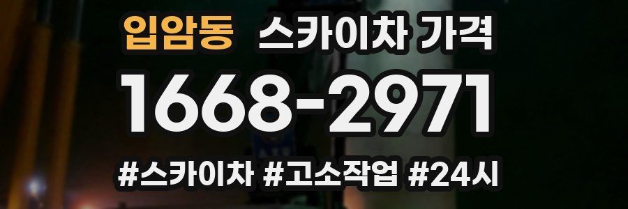 입암동 스카이차 가격