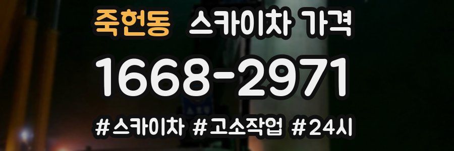 죽헌동 스카이차 가격