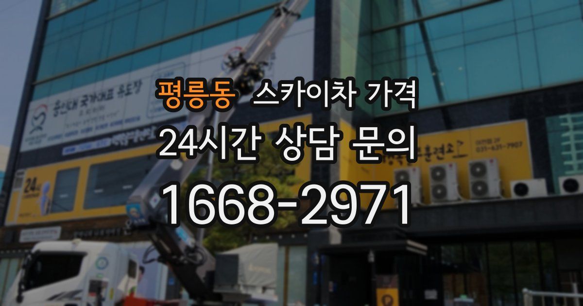 평릉동 스카이차 가격