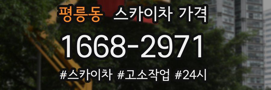 평릉동 스카이차 가격