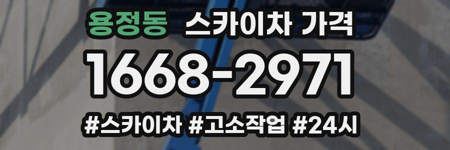 용정동 스카이차 가격