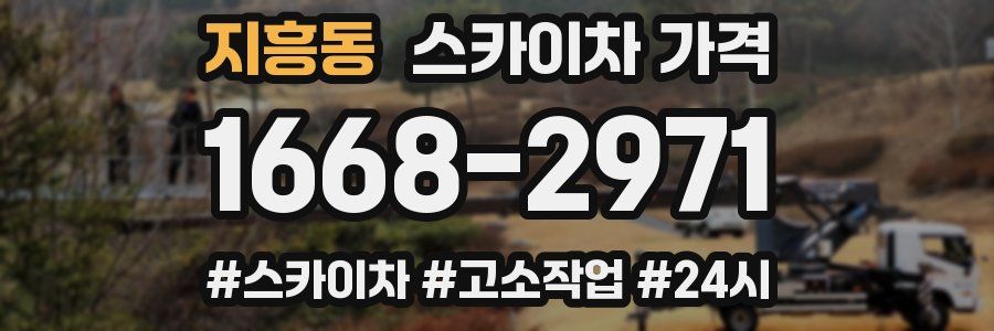 지흥동 스카이차 가격