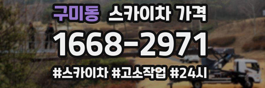 구미동 스카이차 가격