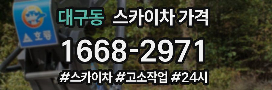 대구동 스카이차 가격