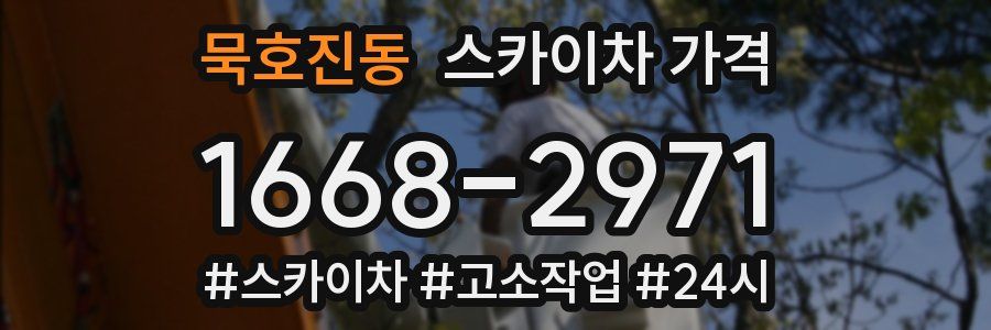 묵호진동 스카이차 가격