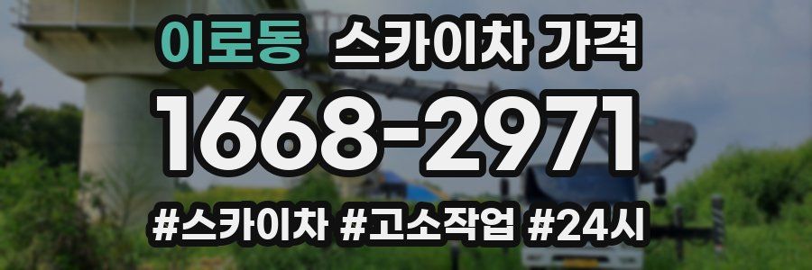 이로동 스카이차 가격