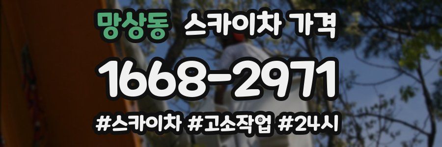 망상동 스카이차 가격