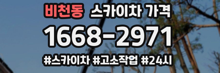 비천동 스카이차 가격