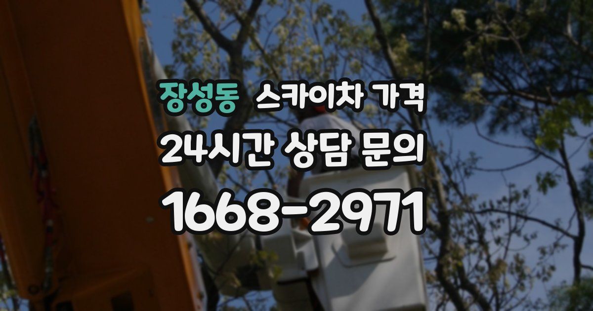 장성동 스카이차 가격