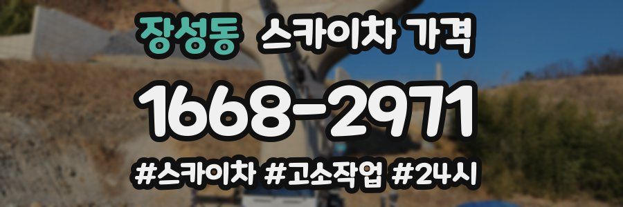 장성동 스카이차 가격