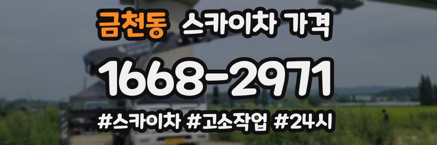 금천동 스카이차 가격