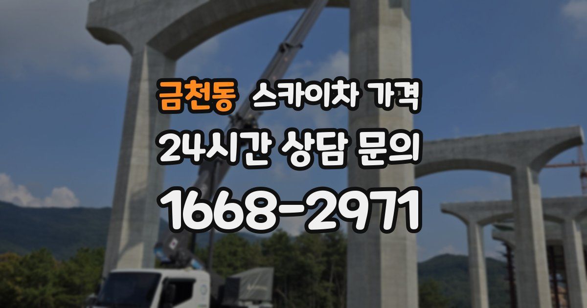 금천동 스카이차 가격