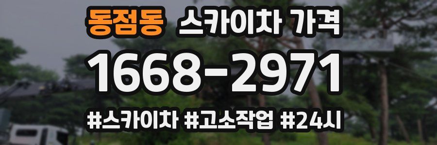 동점동 스카이차 가격