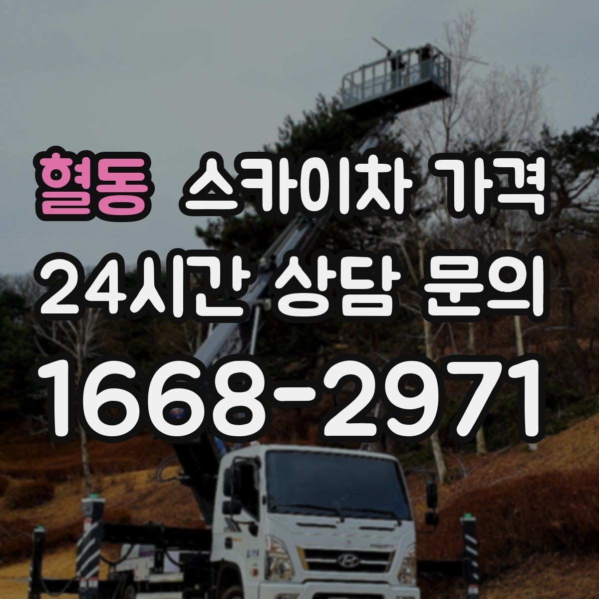 혈동 스카이차 가격 전선이 낮게 지나가는 구간 작업 체크