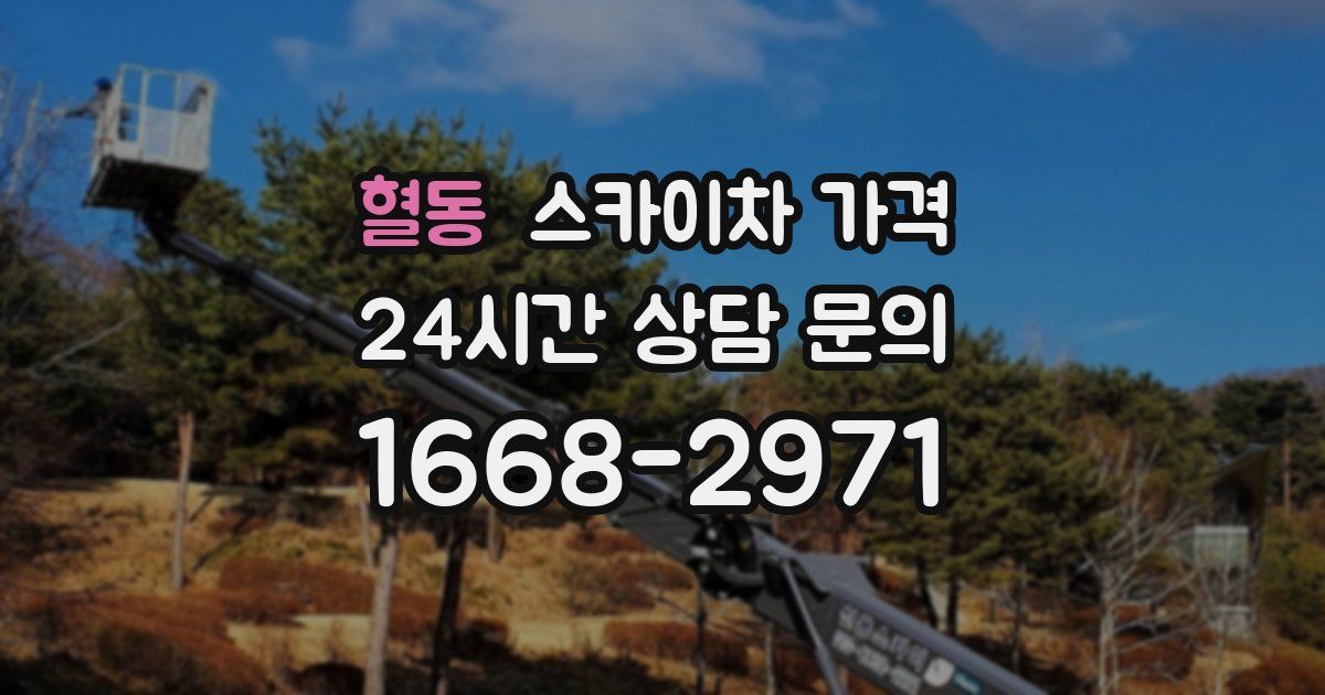 혈동 스카이차 가격