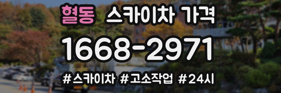 혈동 스카이차 가격