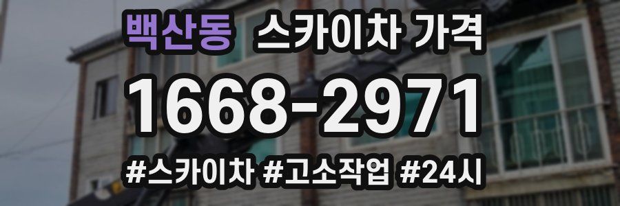 백산동 스카이차 가격