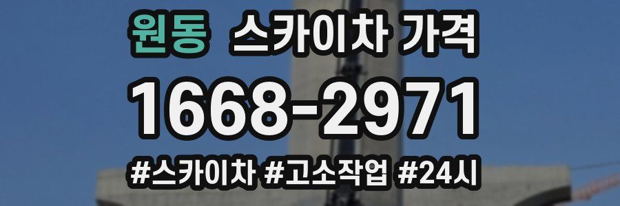 원동 스카이차 가격